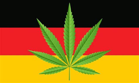 leafyleaks|LeafyLeaks on LinkedIn: Germany Marijuana Legalization Law。